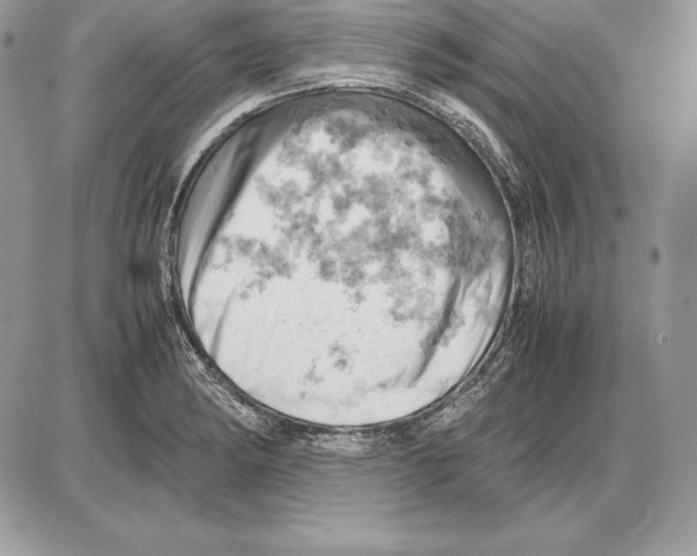 X0000085751182200704131703