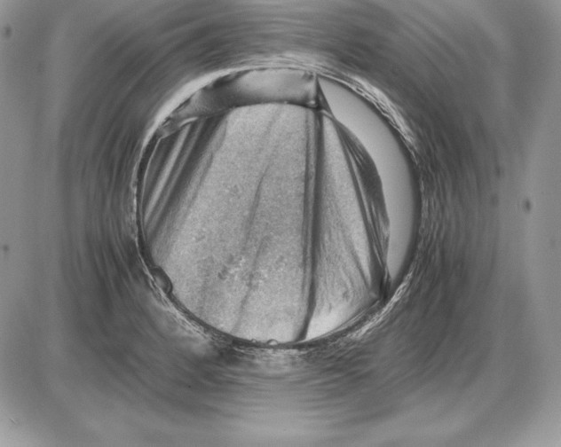 X0000085751184200704131703