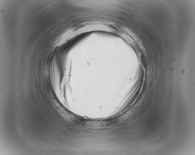 X0000085751185200704131703