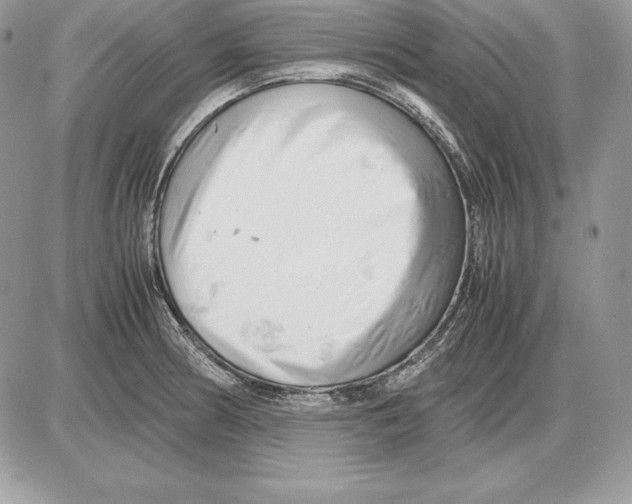 X0000085751186200704131703