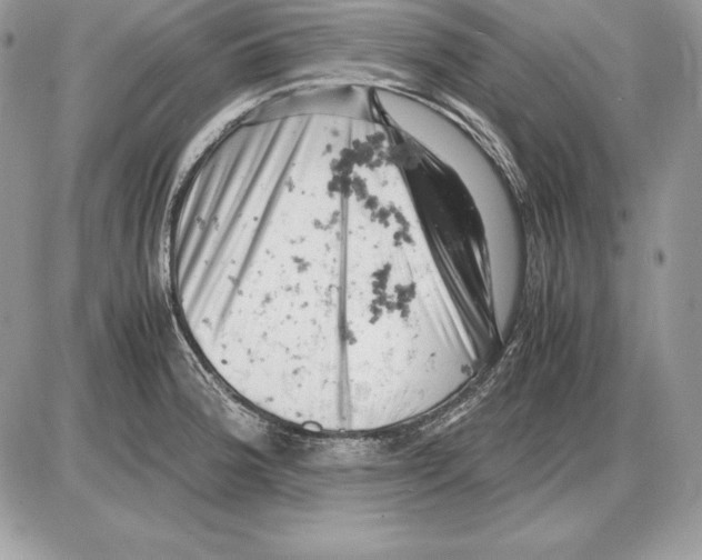 X0000085751188200704131703