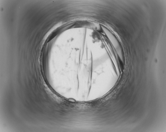 X0000085751189200704131703