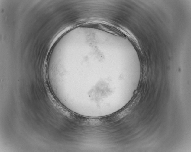 X0000085751190200704131703