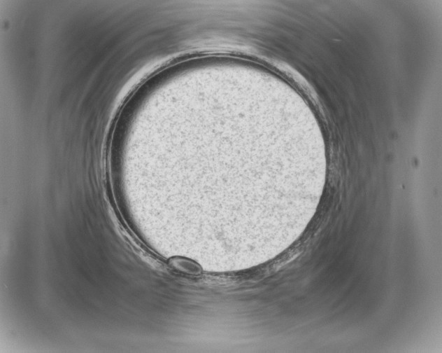 X0000085751191200704131703