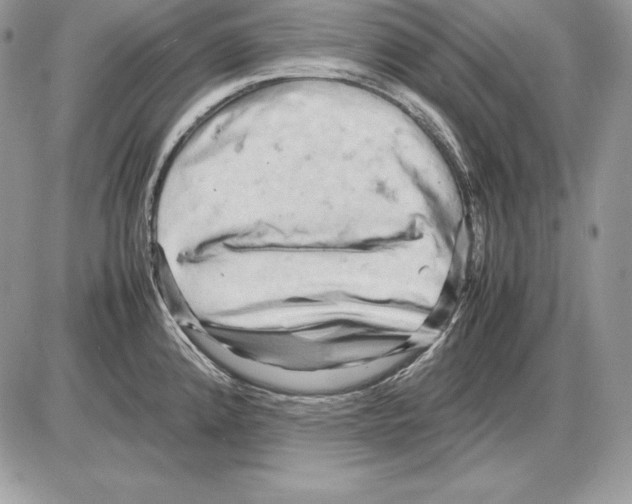 X0000085751192200704131703