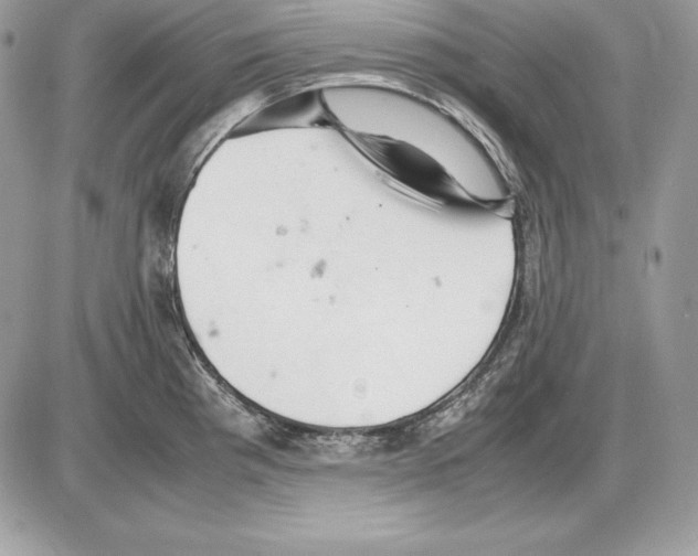 X0000085751193200704131703