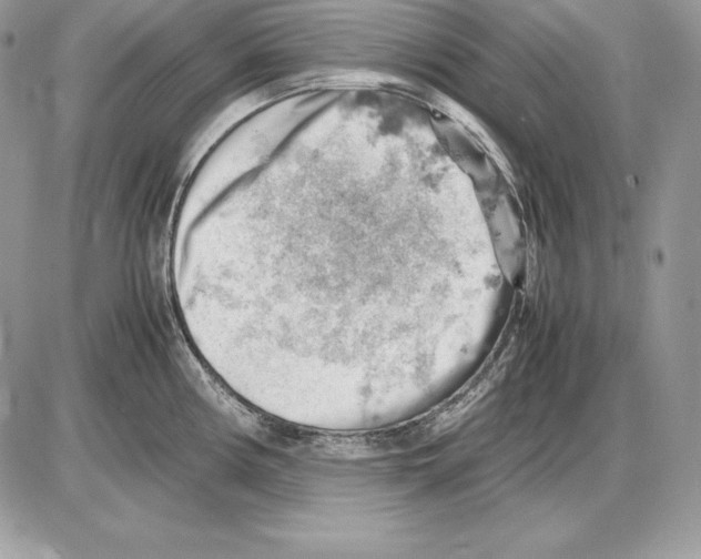 X0000085751194200704131703