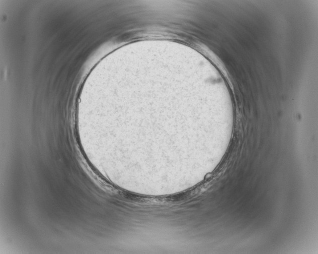 X0000085751195200704131703