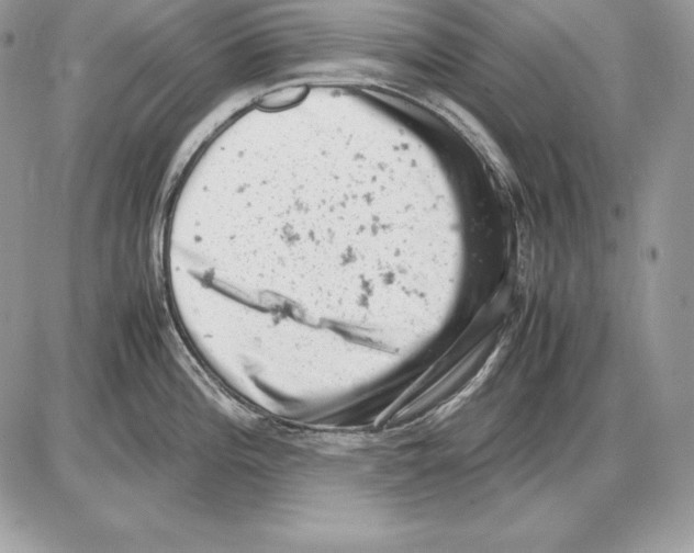 X0000085751196200704131703