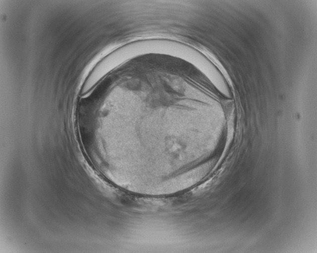 X0000085751197200704131703