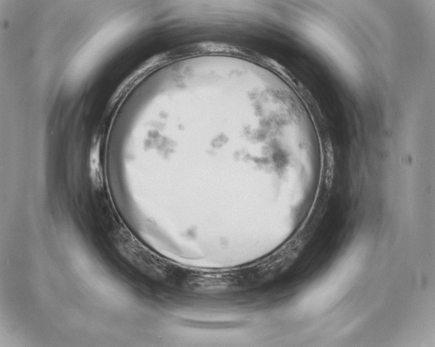 X0000085751198200704131703