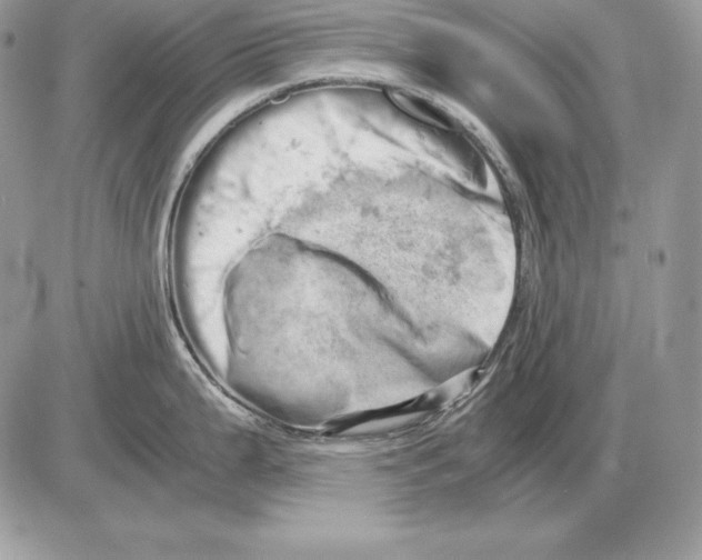 X0000085751199200704131703