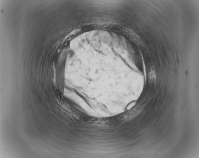 X0000085751204200704131702