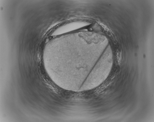 X0000085751206200704131702