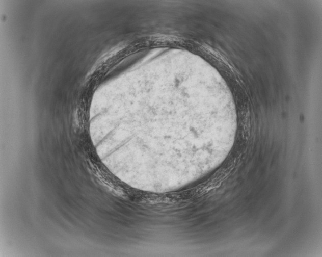 X0000085751207200704131702