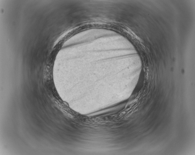 X0000085751208200704131702