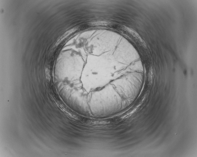 X0000085751209200704131702