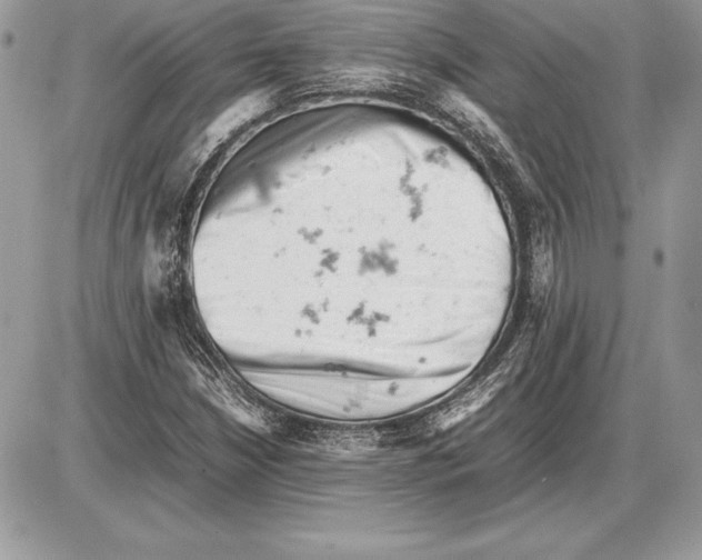 X0000085751210200704131702