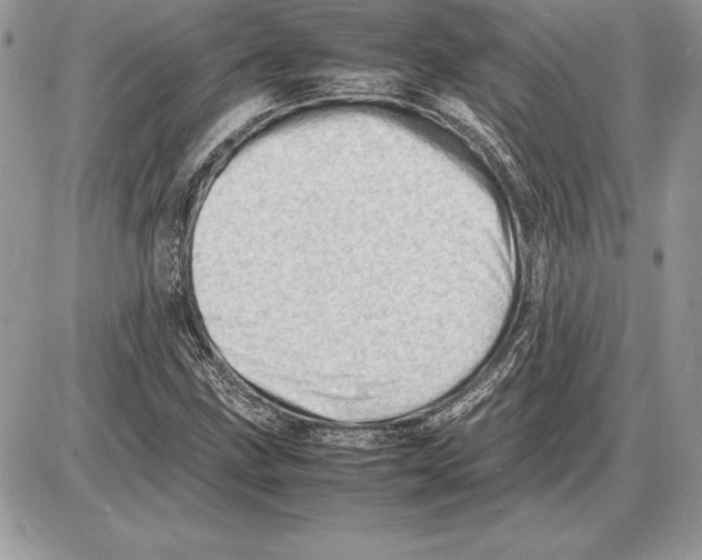 X0000085751211200704131702