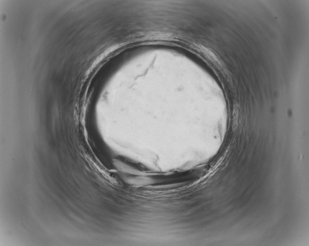 X0000085751212200704131702