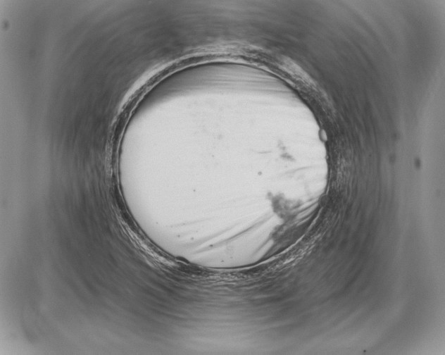 X0000085751216200704131702