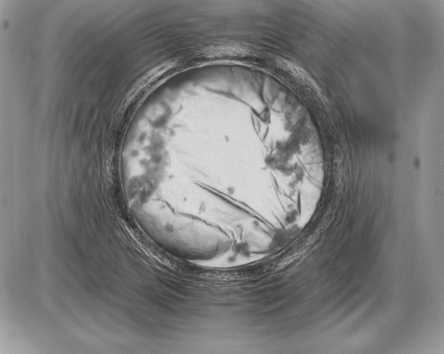 X0000085751217200704131702