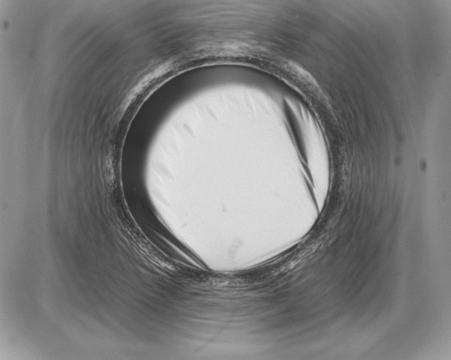 X0000085751218200704131702