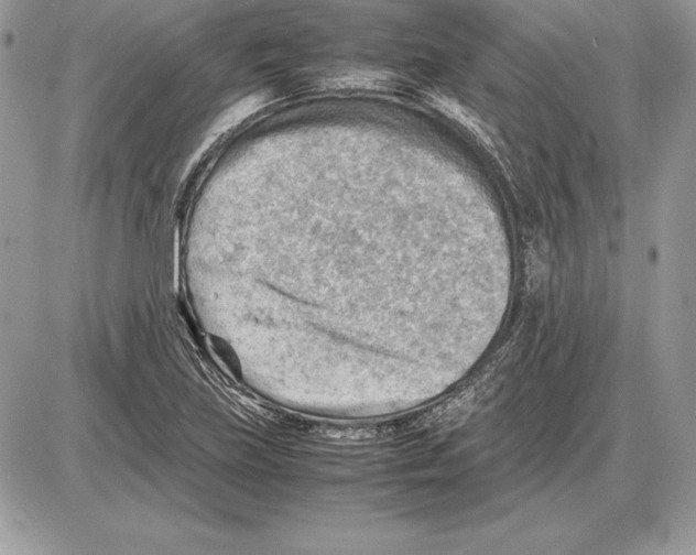 X0000085751219200704131702