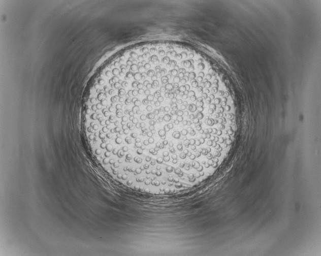 X0000085751220200704131702