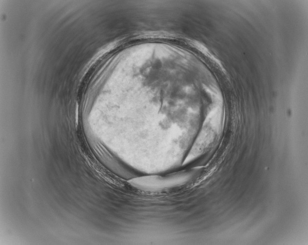 X0000085751221200704131702