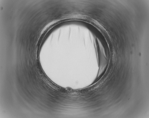 X0000085751222200704131702