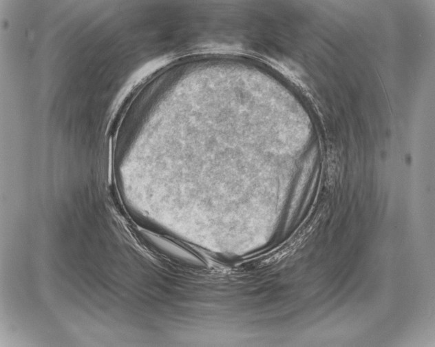 X0000085751223200704131702