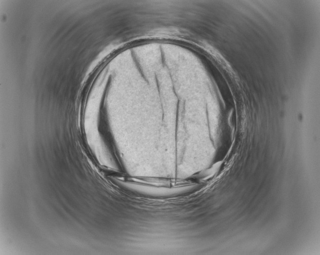 X0000085751224200704131702