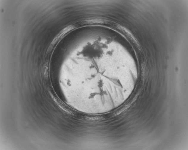 X0000085751225200704131702