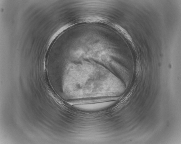 X0000085751226200704131702