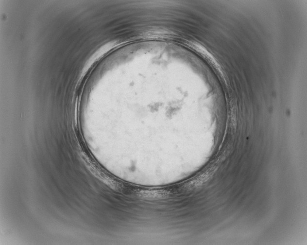 X0000085751227200704131702