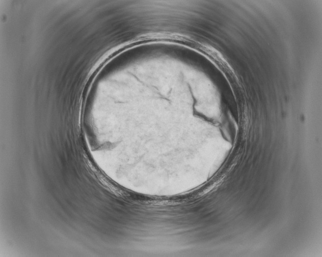 X0000085751228200704131702