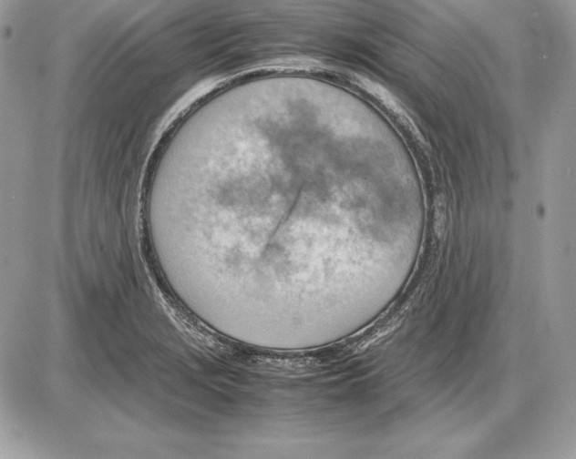 X0000085751229200704131702