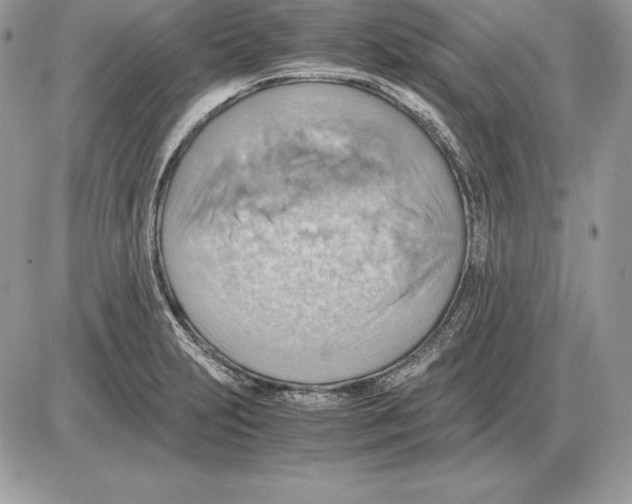 X0000085751231200704131702