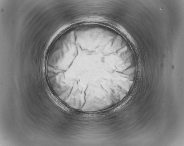 X0000085751232200704131702