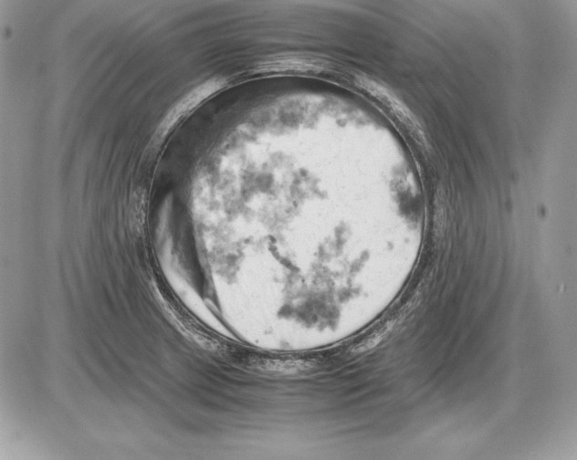 X0000085751233200704131702