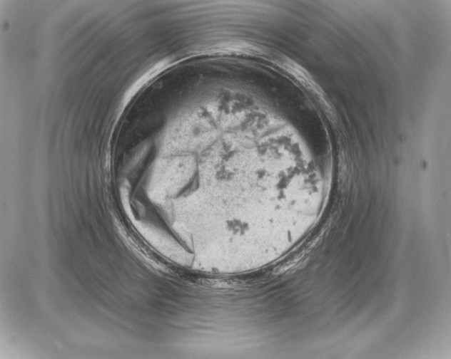 X0000085751234200704131702