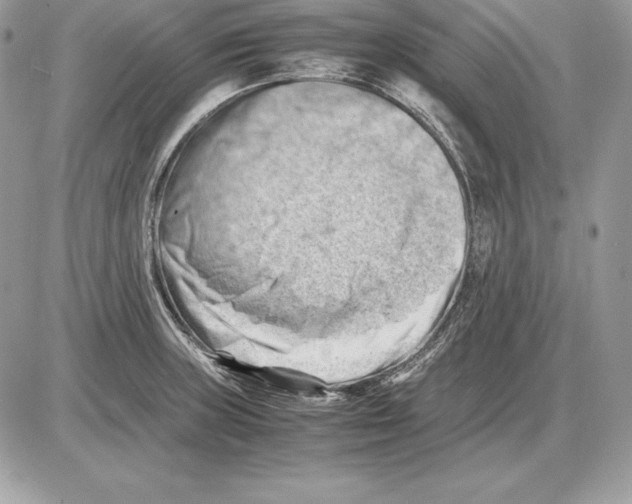 X0000085751235200704131702