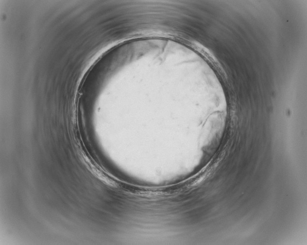 X0000085751236200704131702