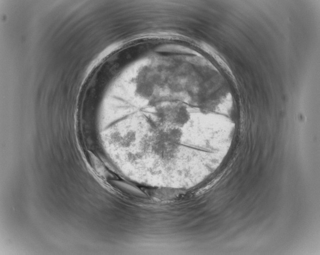 X0000085751237200704131702