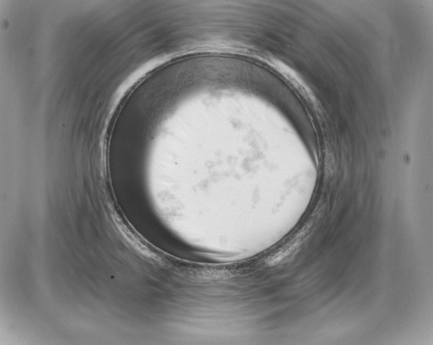 X0000085751238200704131702