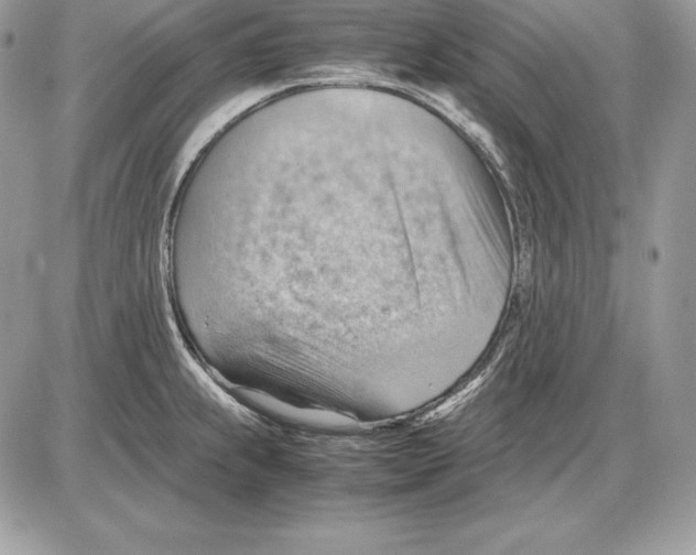 X0000085751239200704131702