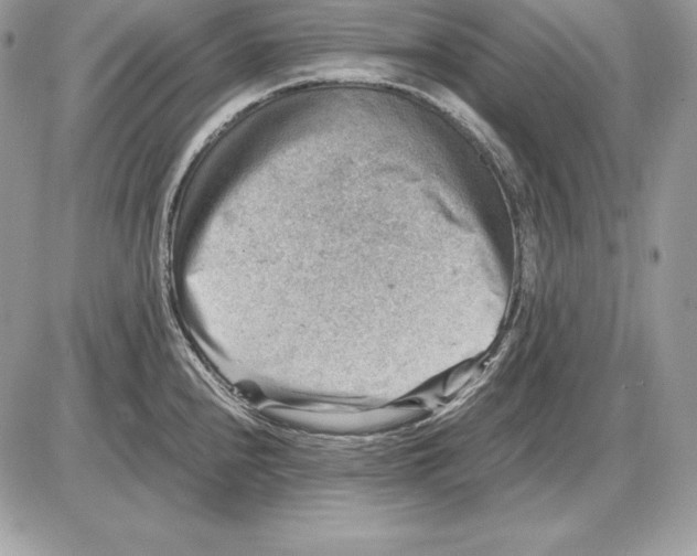 X0000085751240200704131702