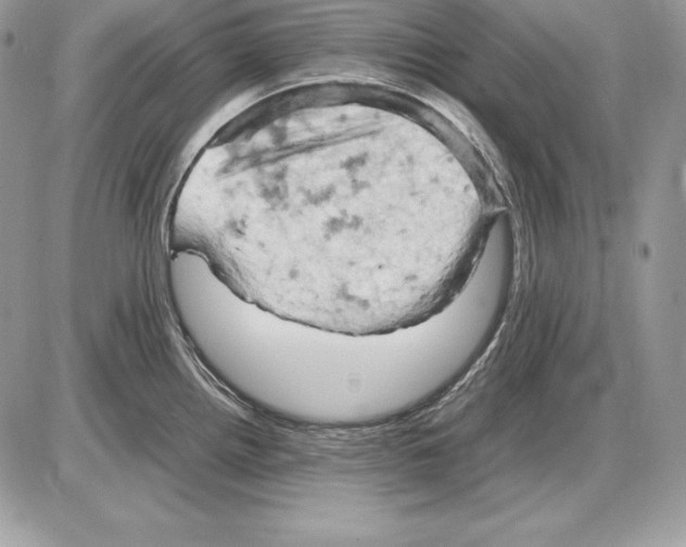 X0000085751242200704131702