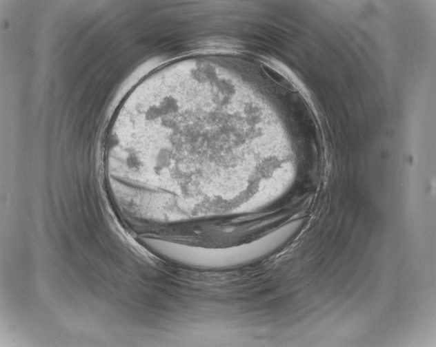 X0000085751243200704131702